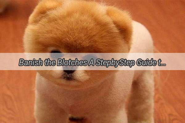 Banish the Blotches A StepbyStep Guide to Cleaning Your Dogs Tear Stains Like a Pro